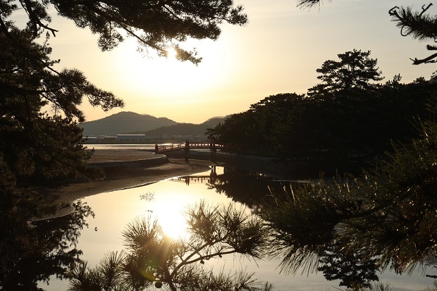 津田の松原　朝の風景