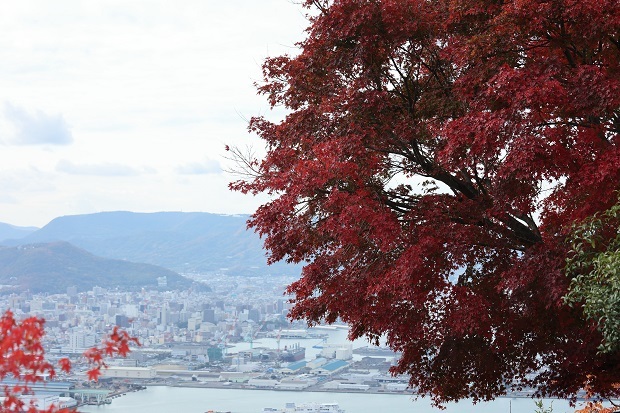 屋島山上　紅葉