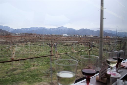 ワインバレー列車車窓からの景色2