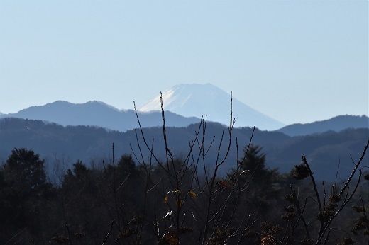平和観音像の丘からの富士山