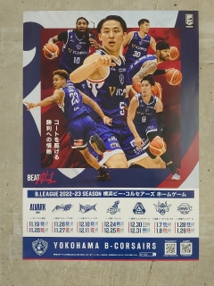 今シーズン大躍進
