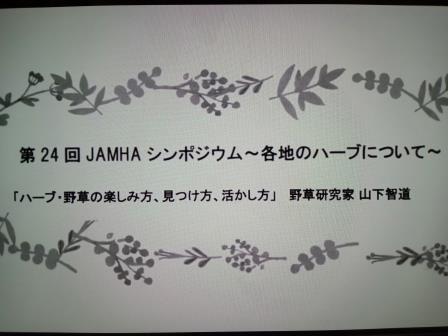 JAMHA24-1