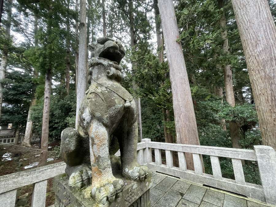 彌彦神社狛犬