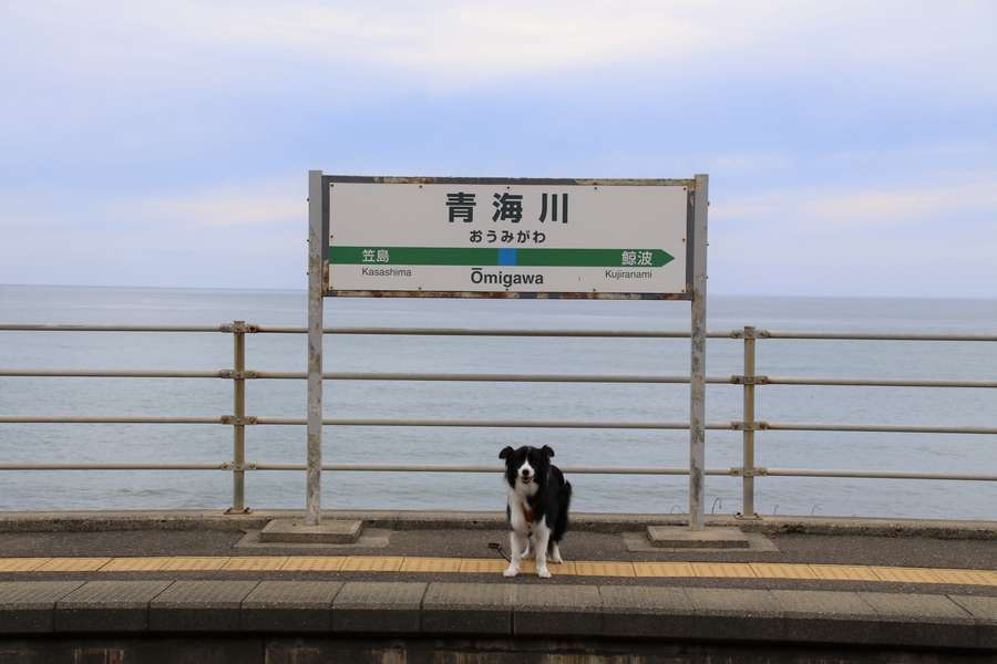 青海川駅の駅名標とホームに立つドーン太