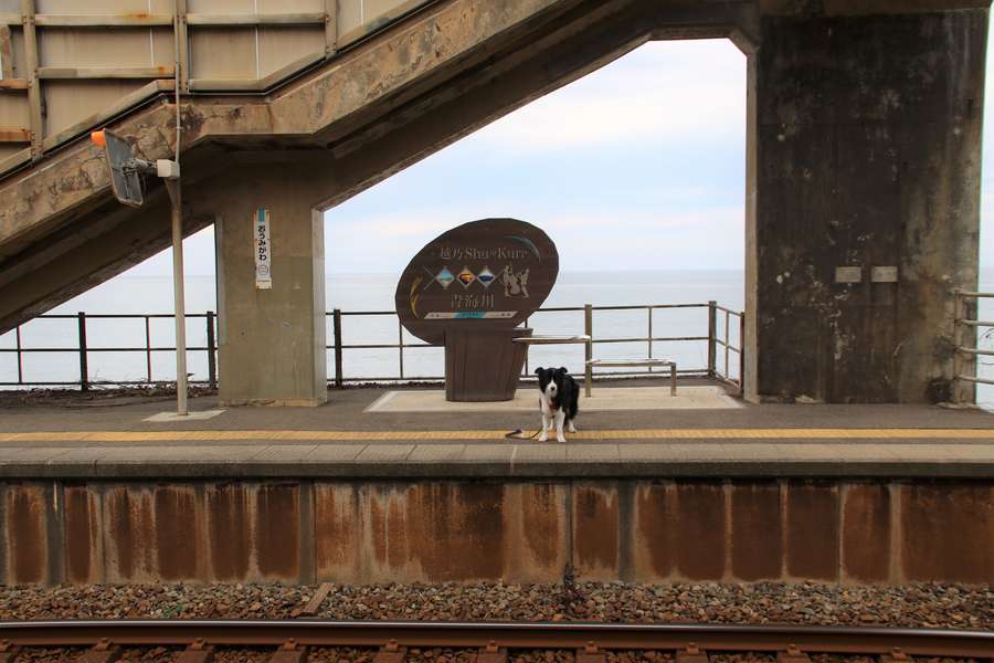 海側のホームの越乃Shu＊Kuraの装飾駅名標とドーン太