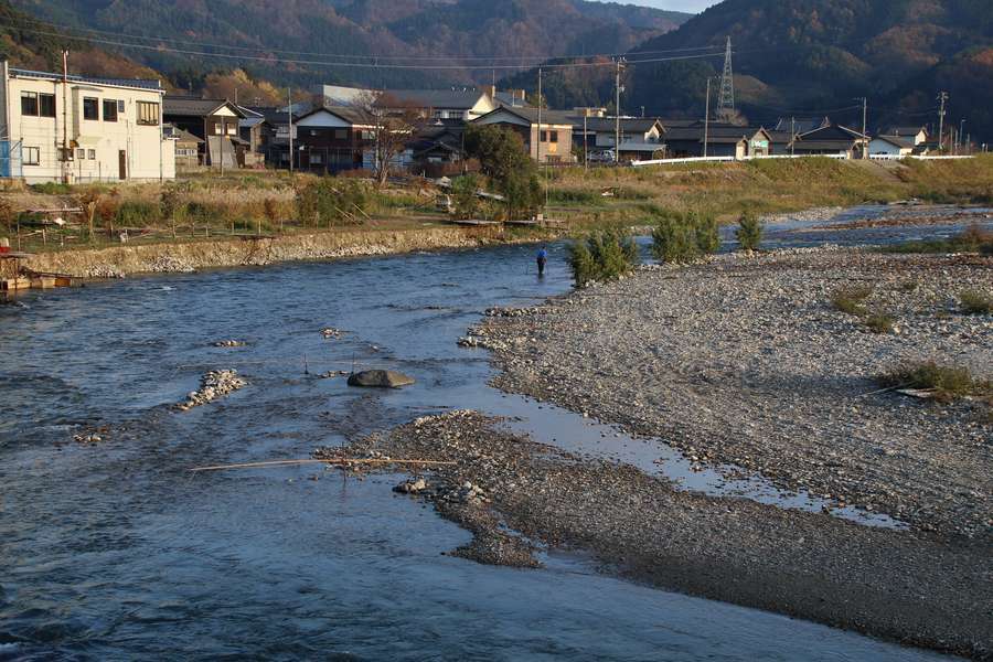 新潟県山北地区の大川で行われているコド漁の様子