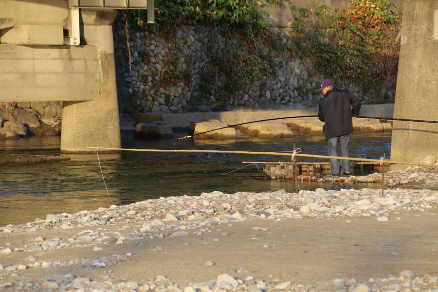 大川でコド漁をする漁師