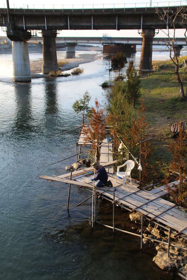 大川橋の上から眺める大川のコド漁の様子