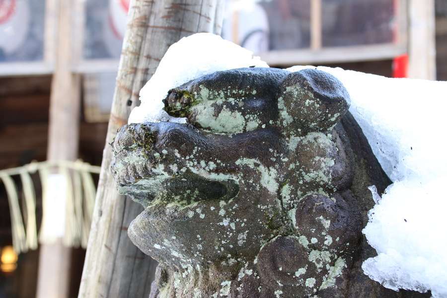 雪をのせた蒼柴神社の狛犬
