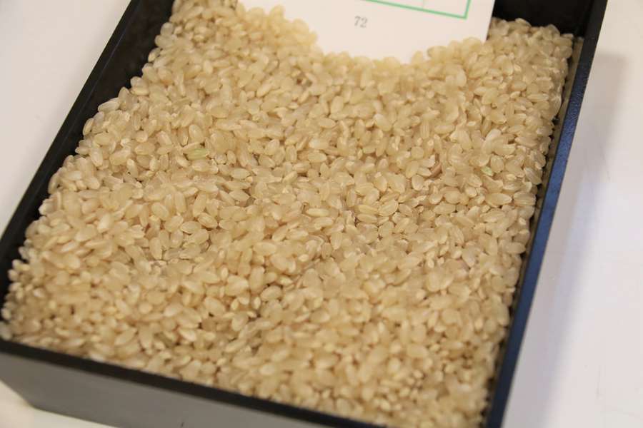 出品されていたコシヒカリ玄米