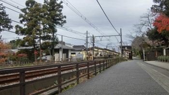 ヤマノススメ 鎌倉　大平山 (3)