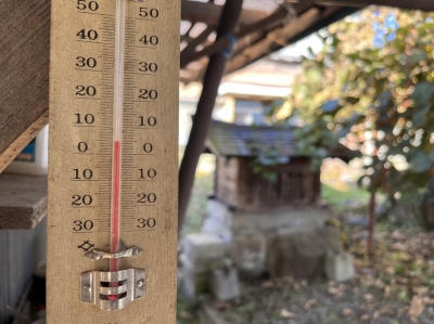 庭の寒暖計