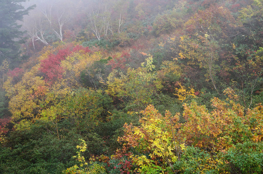 三方岩岳／秋色の斜面