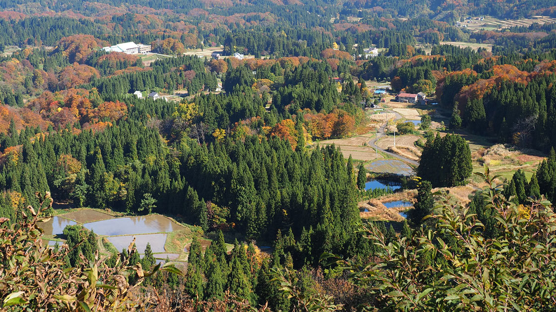 大松山から見下ろす松之山の棚田
