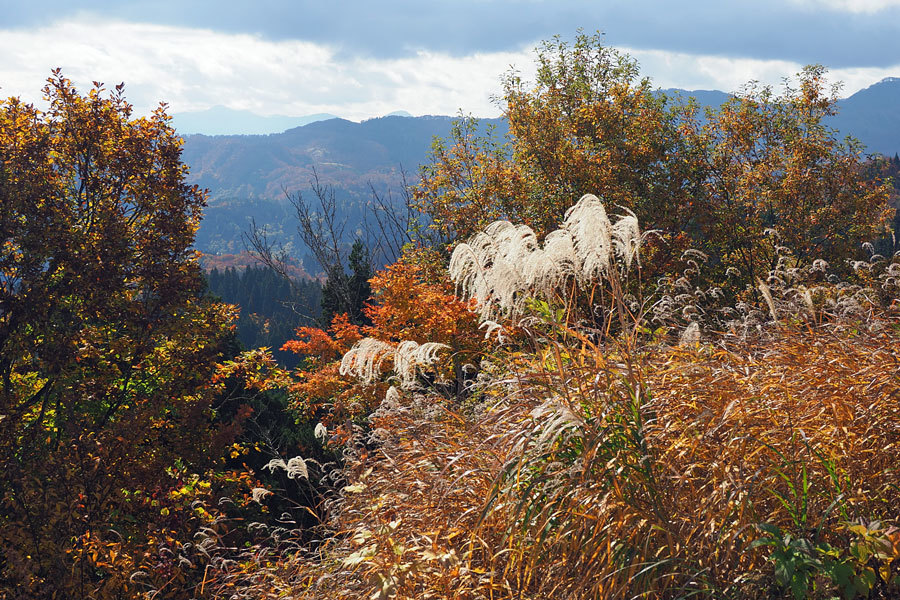 秋の大松山