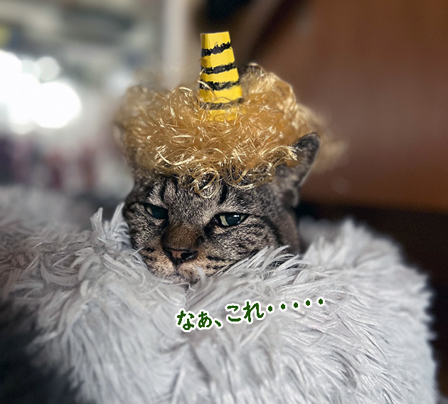 鬼の角1