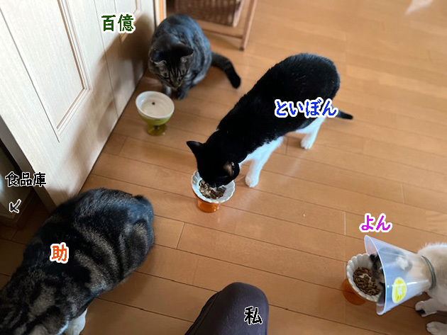 昨日の1